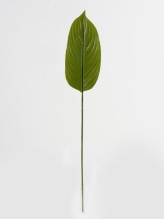 Artificial Plant 16*86cm Leaf single stem GS-66423037CONTI Leaves&Sprays&Foliages 3,000+ sqm showroom with thousands of artificial flowers, plants & trees ready for global sourcing.