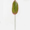 Artificial Plant 16*86cm Leaf single stem GS-66423037CONTI Leaves&Sprays&Foliages YeahFlower is one of Chinese leading OEM manufacturers and exporters , supplying the silk flowers, wholesale artificial trees