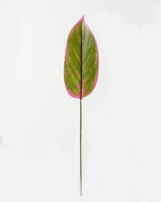 Artificial Plant 16*86cm Leaf single stem GS-66423037CONTI Leaves&Sprays&Foliages YeahFlower is one of Chinese leading OEM manufacturers and exporters , supplying the silk flowers, wholesale artificial trees Artificial Plant 16*86cm Leaf single stem GS-66423037CONTI Leaves&Sprays&Foliages YeahFlower is one of Chinese leading OEM manufacturers and exporters , supplying the silk flowers, wholesale artificial trees