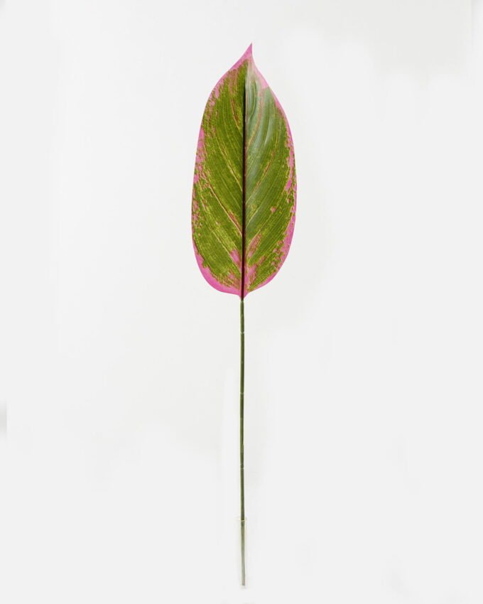Artificial Plant 16*86cm Leaf single stem GS-66423037CONTI Leaves&Sprays&Foliages YeahFlower is one of Chinese leading OEM manufacturers and exporters , supplying the silk flowers, wholesale artificial trees
