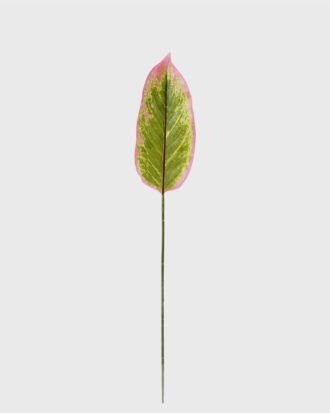 Artificial Plant 13*79cm Leaf single stem GS-66423038CONTI Leaves&Sprays&Foliages YeahFlower is one of Chinese leading OEM manufacturers and exporters , supplying the silk flowers, wholesale artificial trees Artificial Plant 13*79cm Leaf single stem GS-66423038CONTI Leaves&Sprays&Foliages YeahFlower is one of Chinese leading OEM manufacturers and exporters , supplying the silk flowers, wholesale artificial trees