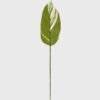 Artificial Plant 13*79cm Leaf single stem GS-66423039CONTI Leaves&Sprays&Foliages YeahFlower is one of Chinese leading OEM manufacturers and exporters , supplying the silk flowers, wholesale artificial trees
