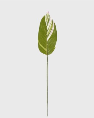 Artificial Plant 13*79cm Leaf single stem GS-66423039CONTI Leaves&Sprays&Foliages YeahFlower is one of Chinese leading OEM manufacturers and exporters , supplying the silk flowers, wholesale artificial trees Artificial Plant 13*79cm Leaf single stem GS-66423039CONTI Leaves&Sprays&Foliages YeahFlower is one of Chinese leading OEM manufacturers and exporters , supplying the silk flowers, wholesale artificial trees