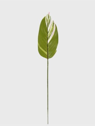 Artificial Plant 13*80cm Leaf single stem GS-66423041CONTI Leaves&Sprays&Foliages 3,000+ sqm showroom with thousands of artificial flowers, plants & trees ready for global sourcing.