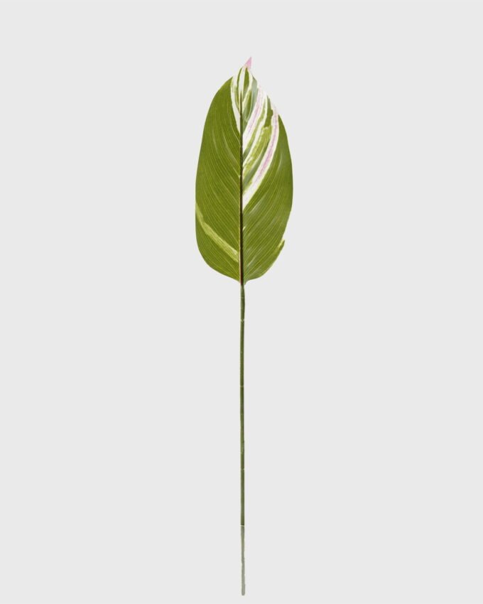 Artificial Plant 13*79cm Leaf single stem GS-66423039CONTI Leaves&Sprays&Foliages YeahFlower is one of Chinese leading OEM manufacturers and exporters , supplying the silk flowers, wholesale artificial trees