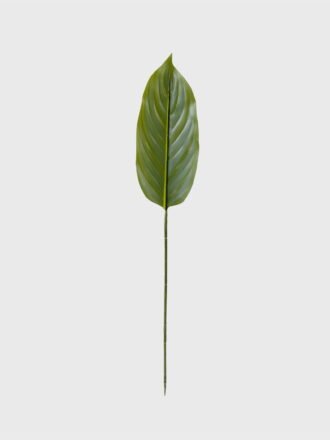 Artificial Plant 13*80cm Leaf single stem GS-66423042CONTI Leaves&Sprays&Foliages 3,000+ sqm showroom with thousands of artificial flowers, plants & trees ready for global sourcing.