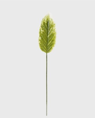 Artificial Plant 13*80cm Leaf single stem GS-66423042CONTI Leaves&Sprays&Foliages YeahFlower is one of Chinese leading OEM manufacturers and exporters , supplying the silk flowers, wholesale artificial trees Artificial Plant 13*80cm Leaf single stem GS-66423042CONTI Leaves&Sprays&Foliages YeahFlower is one of Chinese leading OEM manufacturers and exporters , supplying the silk flowers, wholesale artificial trees
