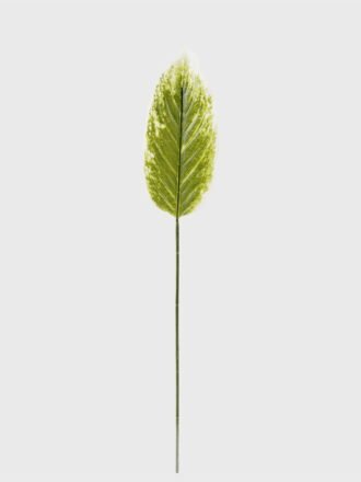 Artificial Plant 13*78cm Leaf single stem GS-66423047CONTI Leaves&Sprays&Foliages 3,000+ sqm showroom with thousands of artificial flowers, plants & trees ready for global sourcing.