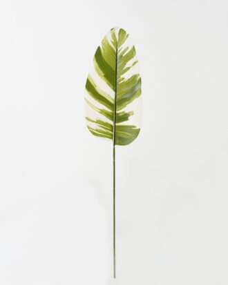 Artificial Plant 19.5*86cm Leaf single stem GS-66423043CONTI-G1 Leaves&Sprays&Foliages YeahFlower is one of Chinese leading OEM manufacturers and exporters , supplying the silk flowers, wholesale artificial trees Artificial Plant 19.5*86cm Leaf single stem GS-66423043CONTI-G1 Leaves&Sprays&Foliages YeahFlower is one of Chinese leading OEM manufacturers and exporters , supplying the silk flowers, wholesale artificial trees