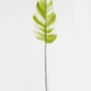 Artificial Plant Leaf single stem GS-66423043CONTI-G1_4 Artificial Plant 19.5*86cm Leaf single stem GS-66423043CONTI-G1 Leaves&Sprays&Foliages YeahFlower is one of Chinese leading OEM manufacturers and exporters , supplying the silk flowers, wholesale artificial trees