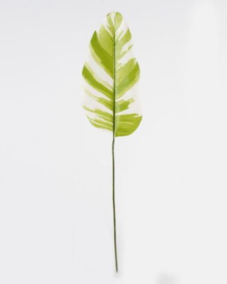 Artificial Plant 19.5*86cm Leaf single stem GS-66423043CONTI-G1 Leaves&Sprays&Foliages YeahFlower is one of Chinese leading OEM manufacturers and exporters , supplying the silk flowers, wholesale artificial trees Artificial Plant 19.5*86cm Leaf single stem GS-66423043CONTI-G1 Leaves&Sprays&Foliages YeahFlower is one of Chinese leading OEM manufacturers and exporters , supplying the silk flowers, wholesale artificial trees