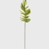 Artificial Plant Leaf single stem GS-66423043CONTI-G1_5 Artificial Plant 19.5*86cm Leaf single stem GS-66423043CONTI-G1 Leaves&Sprays&Foliages YeahFlower is one of Chinese leading OEM manufacturers and exporters , supplying the silk flowers, wholesale artificial trees