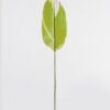 Artificial Plant 16*85cm Leaf single stem GS-66423045CONTI-G1 Leaves&Sprays&Foliages YeahFlower is one of Chinese leading OEM manufacturers and exporters , supplying the silk flowers, wholesale artificial trees