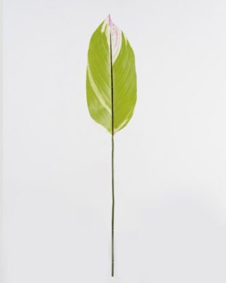 Artificial Plant 16*85cm Leaf single stem GS-66423045CONTI-G1 Leaves&Sprays&Foliages YeahFlower is one of Chinese leading OEM manufacturers and exporters , supplying the silk flowers, wholesale artificial trees Artificial Plant 16*85cm Leaf single stem GS-66423045CONTI-G1 Leaves&Sprays&Foliages YeahFlower is one of Chinese leading OEM manufacturers and exporters , supplying the silk flowers, wholesale artificial trees
