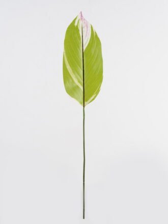 Artificial Plant 16*87cm Leaf single stem GS-66423046CONTI-G1 Leaves&Sprays&Foliages 3,000+ sqm showroom with thousands of artificial flowers, plants & trees ready for global sourcing.