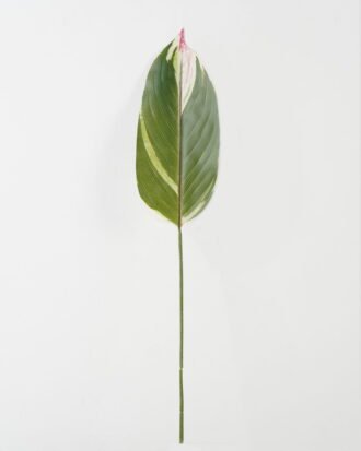 Artificial Plant 16*85cm Leaf single stem GS-66423045CONTI-G1 Leaves&Sprays&Foliages YeahFlower is one of Chinese leading OEM manufacturers and exporters , supplying the silk flowers, wholesale artificial trees Artificial Plant 16*85cm Leaf single stem GS-66423045CONTI-G1 Leaves&Sprays&Foliages YeahFlower is one of Chinese leading OEM manufacturers and exporters , supplying the silk flowers, wholesale artificial trees