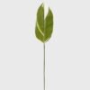 Artificial Plant Leaf single stem GS-66423046CONTI-G1_3 Artificial Plant 16*87cm Leaf single stem GS-66423046CONTI-G1 Leaves&Sprays&Foliages YeahFlower is one of Chinese leading OEM manufacturers and exporters , supplying the silk flowers, wholesale artificial trees