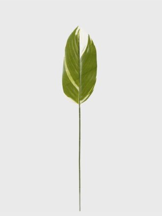 Artificial Plant 16*85cm Leaf single stem GS-66423045CONTI-G1 Leaves&Sprays&Foliages 3,000+ sqm showroom with thousands of artificial flowers, plants & trees ready for global sourcing.