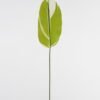 Artificial Plant Leaf single stem GS-66423046CONTI-G1_4 Artificial Plant 16*87cm Leaf single stem GS-66423046CONTI-G1 Leaves&Sprays&Foliages YeahFlower is one of Chinese leading OEM manufacturers and exporters , supplying the silk flowers, wholesale artificial trees