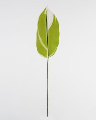 Artificial Plant 16*87cm Leaf single stem GS-66423046CONTI-G1 Leaves&Sprays&Foliages YeahFlower is one of Chinese leading OEM manufacturers and exporters , supplying the silk flowers, wholesale artificial trees Artificial Plant 16*87cm Leaf single stem GS-66423046CONTI-G1 Leaves&Sprays&Foliages YeahFlower is one of Chinese leading OEM manufacturers and exporters , supplying the silk flowers, wholesale artificial trees