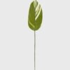 Artificial Plant Leaf single stem GS-66423047CONTI_2 Artificial Plant 13*78cm Leaf single stem GS-66423047CONTI Leaves&Sprays&Foliages YeahFlower is one of Chinese leading OEM manufacturers and exporters , supplying the silk flowers, wholesale artificial trees