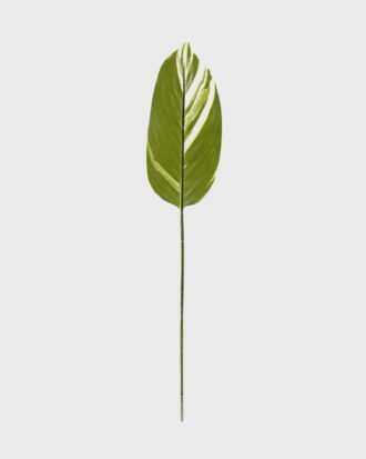 Artificial Plant 13*78cm Leaf single stem GS-66423047CONTI Leaves&Sprays&Foliages YeahFlower is one of Chinese leading OEM manufacturers and exporters , supplying the silk flowers, wholesale artificial trees Artificial Plant 13*78cm Leaf single stem GS-66423047CONTI Leaves&Sprays&Foliages YeahFlower is one of Chinese leading OEM manufacturers and exporters , supplying the silk flowers, wholesale artificial trees