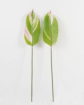 Artificial Plant 16*85cm Leaf single stem GS-66423054CONTI-SET-G2 Leaves&Sprays&Foliages YeahFlower is one of Chinese leading OEM manufacturers and exporters , supplying the silk flowers, wholesale artificial trees Artificial Plant 16*85cm Leaf single stem GS-66423054CONTI-SET-G2 Leaves&Sprays&Foliages YeahFlower is one of Chinese leading OEM manufacturers and exporters , supplying the silk flowers, wholesale artificial trees