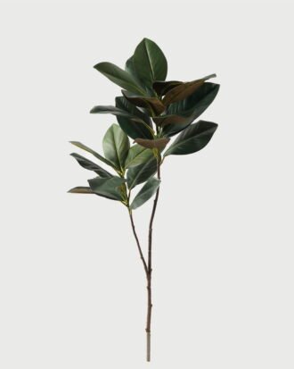 Artificial Plant 40*40*102cm Magnolia leaf *2 single stem GS-31323008CONTI Leaves&Sprays&Foliages YeahFlower is one of Chinese leading OEM manufacturers and exporters , supplying the silk flowers, wholesale artificial trees Artificial Plant 40*40*102cm Magnolia leaf *2 single stem GS-31323008CONTI Leaves&Sprays&Foliages YeahFlower is one of Chinese leading OEM manufacturers and exporters , supplying the silk flowers, wholesale artificial trees