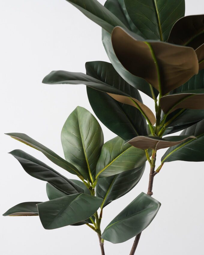 Artificial Plant 40*40*102cm Magnolia leaf *2 single stem GS-31323008CONTI Leaves&Sprays&Foliages YeahFlower is one of Chinese leading OEM manufacturers and exporters , supplying the silk flowers, wholesale artificial trees