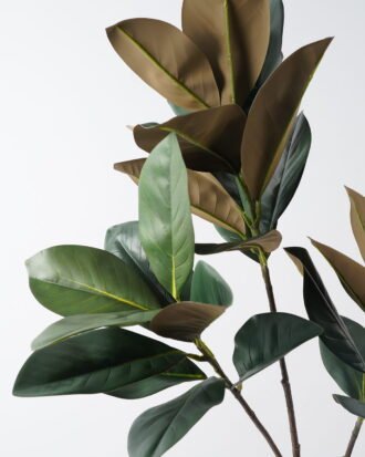 Artificial Plant 46*46*136cm Magnolia leaf *3 GS-31323009CONTI Leaves&Sprays&Foliages YeahFlower is one of Chinese leading OEM manufacturers and exporters , supplying the silk flowers, wholesale artificial trees Artificial Plant 46*46*136cm Magnolia leaf *3 GS-31323009CONTI Leaves&Sprays&Foliages YeahFlower is one of Chinese leading OEM manufacturers and exporters , supplying the silk flowers, wholesale artificial trees