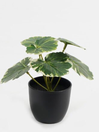 Artificial Flower 20*20*25cm Rose in PP pot GS-03323013-R2 Potted Flowers&Plants 3,000+ sqm showroom with thousands of artificial flowers, plants & trees ready for global sourcing.