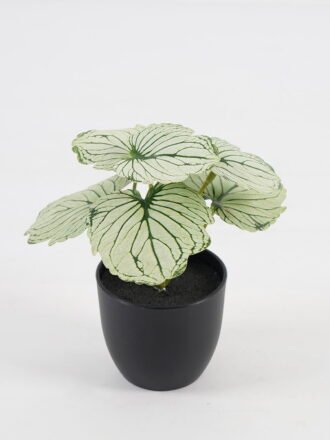 Artificial Table Plants 15*12*16cm Begonia leaf in PP pot GS-03323109-G5 Potted Flowers&Plants 3,000+ sqm showroom with thousands of artificial flowers, plants & trees ready for global sourcing.