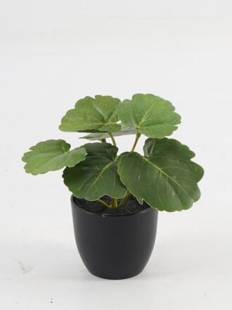 Artificial Table Plants 15*12*16cm Begonia leaf in PP pot GS-03323109-G3 Potted Flowers&Plants 3,000+ sqm showroom with thousands of artificial flowers, plants & trees ready for global sourcing.
