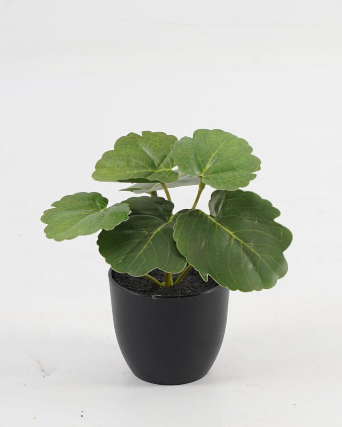 Artificial Table Plants 15*12*16cm Begonia leaf in PP pot GS-03323109-G5 Potted Flowers&Plants YeahFlower is one of Chinese leading OEM manufacturers and exporters , supplying the silk flowers, wholesale artificial trees