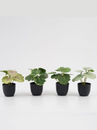 Artificial Table Plants 15*12*16cm Begonia leaf in PP pot GS-03323109-G3 Potted Flowers&Plants 3,000+ sqm showroom with thousands of artificial flowers, plants & trees ready for global sourcing.