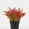 Artificial Table Plants 19*19*18cm Flower in PP pot GS-07023004KIK Potted Flowers&Plants YeahFlower is one of Chinese leading OEM manufacturers and exporters , supplying the silk flowers, wholesale artificial trees