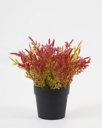 Artificial Table Plants 19*19*18cm Flower in PP pot GS-07023004KIK Potted Flowers&Plants YeahFlower is one of Chinese leading OEM manufacturers and exporters , supplying the silk flowers, wholesale artificial trees Artificial Table Plants 19*19*18cm Flower in PP pot GS-07023004KIK Potted Flowers&Plants YeahFlower is one of Chinese leading OEM manufacturers and exporters , supplying the silk flowers, wholesale artificial trees