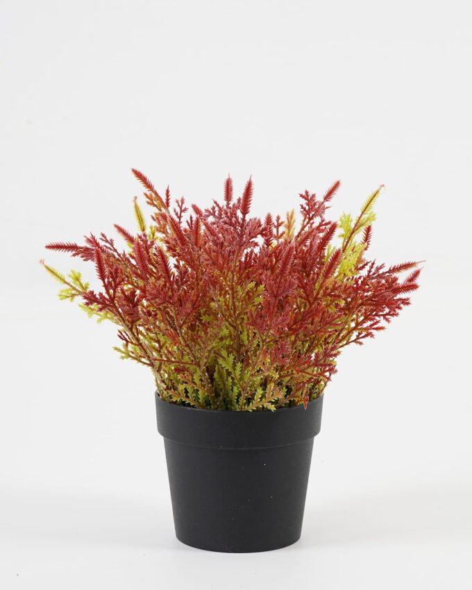 Artificial Table Plants 19*19*18cm Flower in PP pot GS-07023004KIK Potted Flowers&Plants YeahFlower is one of Chinese leading OEM manufacturers and exporters , supplying the silk flowers, wholesale artificial trees