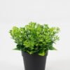 Artificial Table Plants Flower in PP pot GS-07023005KIK Artificial Table Plants 17*17*15cm Flower in PP pot GS-07023005KIK Potted Flowers&Plants YeahFlower is one of Chinese leading OEM manufacturers and exporters , supplying the silk flowers, wholesale artificial trees