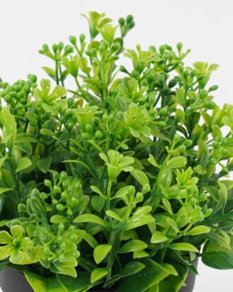 Artificial Table Plants 17*17*15cm Flower in PP pot GS-07023005KIK Potted Flowers&Plants YeahFlower is one of Chinese leading OEM manufacturers and exporters , supplying the silk flowers, wholesale artificial trees Artificial Table Plants 17*17*15cm Flower in PP pot GS-07023005KIK Potted Flowers&Plants YeahFlower is one of Chinese leading OEM manufacturers and exporters , supplying the silk flowers, wholesale artificial trees