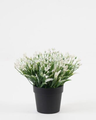 Artificial Table Plants 17*17*15cm Flower in PP pot GS-07023006KIK Potted Flowers&Plants YeahFlower is one of Chinese leading OEM manufacturers and exporters , supplying the silk flowers, wholesale artificial trees Artificial Table Plants 17*17*15cm Flower in PP pot GS-07023006KIK Potted Flowers&Plants YeahFlower is one of Chinese leading OEM manufacturers and exporters , supplying the silk flowers, wholesale artificial trees
