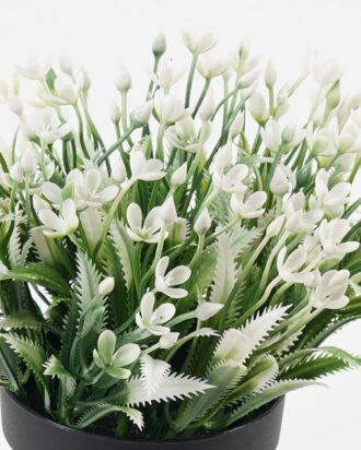 Artificial Table Plants 17*17*15cm Flower in PP pot GS-07023006KIK Potted Flowers&Plants YeahFlower is one of Chinese leading OEM manufacturers and exporters , supplying the silk flowers, wholesale artificial trees Artificial Table Plants 17*17*15cm Flower in PP pot GS-07023006KIK Potted Flowers&Plants YeahFlower is one of Chinese leading OEM manufacturers and exporters , supplying the silk flowers, wholesale artificial trees