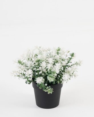 Artificial Table Plants 21*21*15cm Flower in PP pot GS-07023007KIK Potted Flowers&Plants YeahFlower is one of Chinese leading OEM manufacturers and exporters , supplying the silk flowers, wholesale artificial trees Artificial Table Plants 21*21*15cm Flower in PP pot GS-07023007KIK Potted Flowers&Plants YeahFlower is one of Chinese leading OEM manufacturers and exporters , supplying the silk flowers, wholesale artificial trees