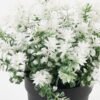 Artificial Table Plants 21*21*15cm Flower in PP pot GS-07023007KIK Potted Flowers&Plants YeahFlower is one of Chinese leading OEM manufacturers and exporters , supplying the silk flowers, wholesale artificial trees