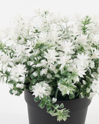Artificial Table Plants 21*21*15cm Flower in PP pot GS-07023007KIK Potted Flowers&Plants YeahFlower is one of Chinese leading OEM manufacturers and exporters , supplying the silk flowers, wholesale artificial trees Artificial Table Plants 21*21*15cm Flower in PP pot GS-07023007KIK Potted Flowers&Plants YeahFlower is one of Chinese leading OEM manufacturers and exporters , supplying the silk flowers, wholesale artificial trees
