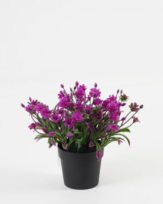 Artificial Table Plants 22*22*16cm Flower in PP pot GS-07023008KIK Potted Flowers&Plants YeahFlower is one of Chinese leading OEM manufacturers and exporters , supplying the silk flowers, wholesale artificial trees Artificial Table Plants 22*22*16cm Flower in PP pot GS-07023008KIK Potted Flowers&Plants YeahFlower is one of Chinese leading OEM manufacturers and exporters , supplying the silk flowers, wholesale artificial trees