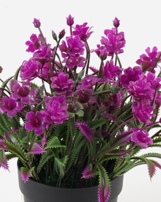 Artificial Table Plants 22*22*16cm Flower in PP pot GS-07023008KIK Potted Flowers&Plants YeahFlower is one of Chinese leading OEM manufacturers and exporters , supplying the silk flowers, wholesale artificial trees Artificial Table Plants 22*22*16cm Flower in PP pot GS-07023008KIK Potted Flowers&Plants YeahFlower is one of Chinese leading OEM manufacturers and exporters , supplying the silk flowers, wholesale artificial trees
