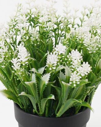 Artificial Table Plants 18*18*18cm Flower in PP pot GS-07023009KIK Potted Flowers&Plants YeahFlower is one of Chinese leading OEM manufacturers and exporters , supplying the silk flowers, wholesale artificial trees Artificial Table Plants 18*18*18cm Flower in PP pot GS-07023009KIK Potted Flowers&Plants YeahFlower is one of Chinese leading OEM manufacturers and exporters , supplying the silk flowers, wholesale artificial trees