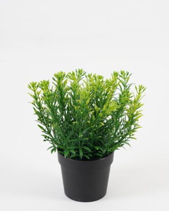 Artificial Table Plants 18*18*19cm Flower in PP pot GS-07023011KIK Potted Flowers&Plants YeahFlower is one of Chinese leading OEM manufacturers and exporters , supplying the silk flowers, wholesale artificial trees Artificial Table Plants 18*18*19cm Flower in PP pot GS-07023011KIK Potted Flowers&Plants YeahFlower is one of Chinese leading OEM manufacturers and exporters , supplying the silk flowers, wholesale artificial trees