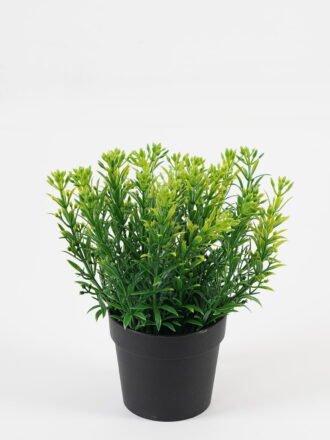 Artificial Table Plants 22*22*25cm Leaf in PP pot GS-07023010KIK Potted Flowers&Plants 3,000+ sqm showroom with thousands of artificial flowers, plants & trees ready for global sourcing.